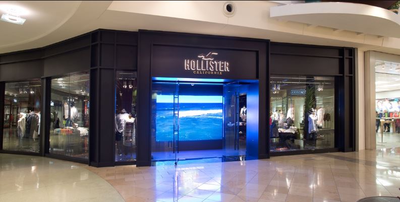 Hollister Customer Satisfaction Survey