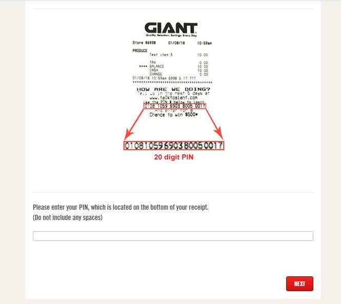 Talk To Giant Survey