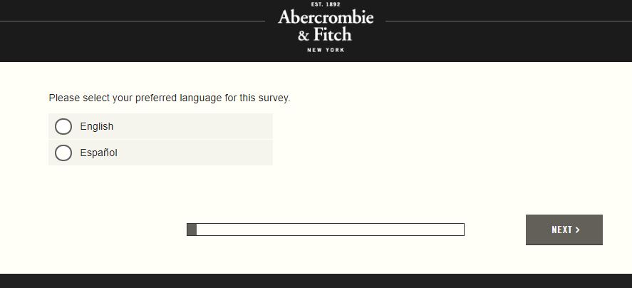 Abercrombie & Fitch Survey 1