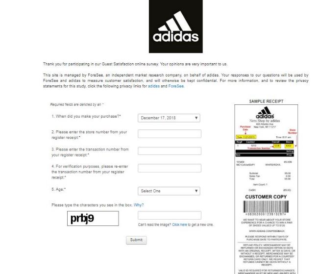 Adidas Survey 