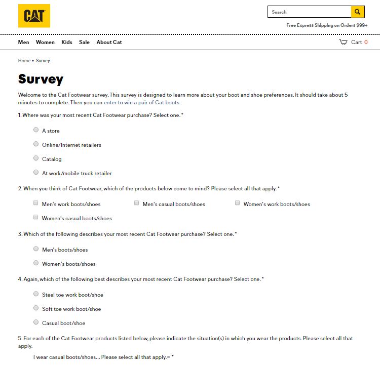 Cat Footwear Survey