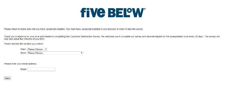 Five Below Survey