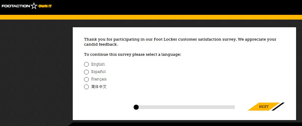 Footaction Survey