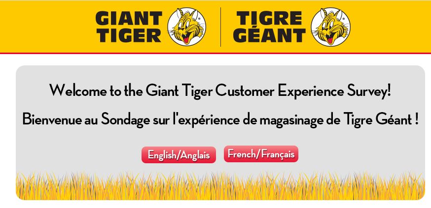 Giant Tiger Survey