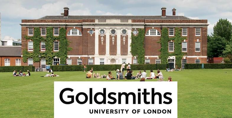 Goldsmiths Survey Prizes