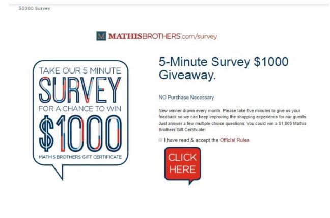 Mathis Brothers Survey