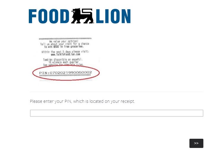 Talk To Food Lion Survey