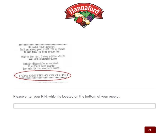 Talk to Hannaford Survey 2