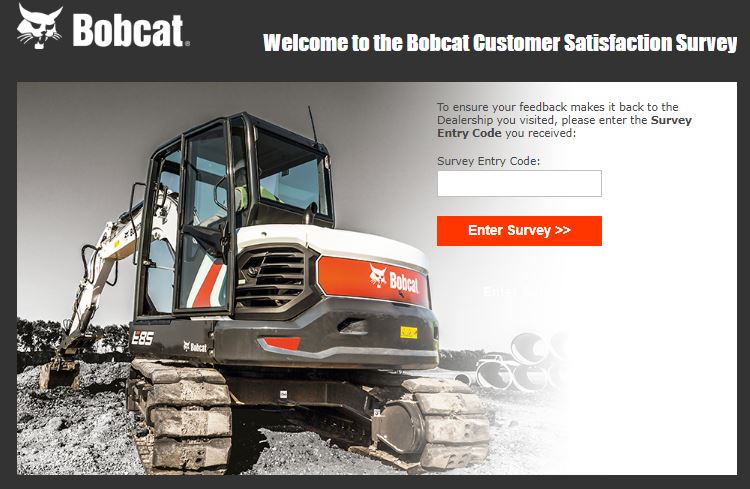 Bobcat Survey
