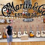 Martin Guitar Survey