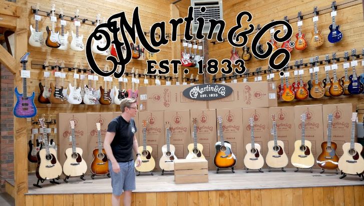 Martin Guitar Survey 