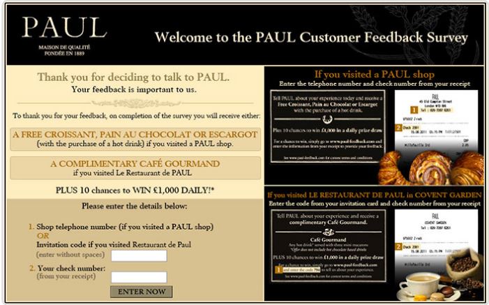 Paul Feedback Survey