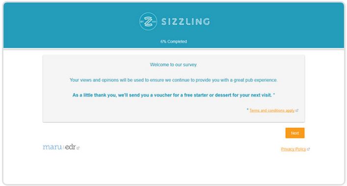 Sizzling Pubs Survey